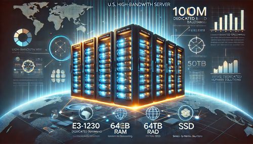 美国大宽带VPS如何提升您的在线业务表现