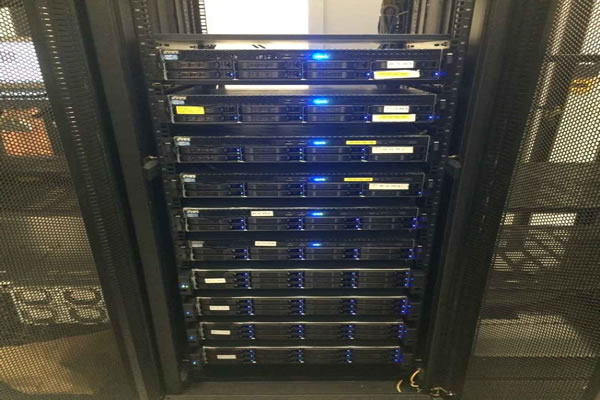 日付美国站群服务的优势与适用场景分析